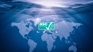 ASC Sertifikası Yolculuğumuz Başladı: Sürdürülebilir Geleceğe Doğru Güçlü Bir Adım | Unifeed