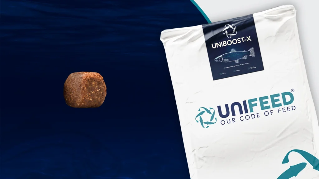 Doğal Güçle Koruma: Uniboost-X ile Balık Sağlığında Yeni Dönem | Unifeed