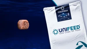 COLOTRAX ile Balıklarda Canlı Renkler ve Sağlıklı Gelişim | Unifeed