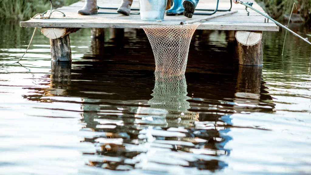 Geleceğin Üretimi Küçük Bir Taneyle Başlar- Sürdürülebilir Akuakültürde Unifeed Yaklaşım | Unifeed