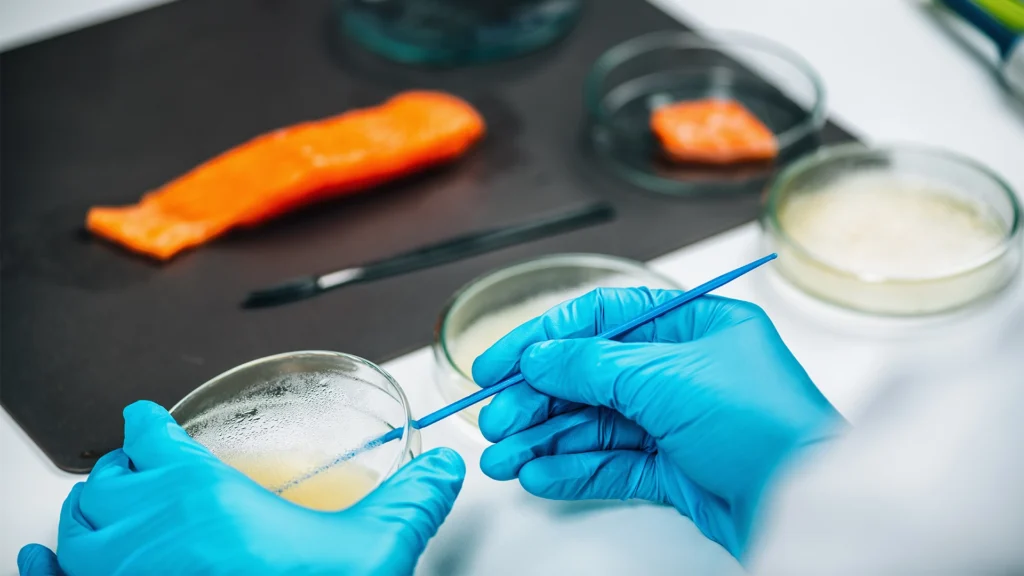 FCR, Büyüme ve Karlılık Arasındaki Doğrudan Bağ | Unifeed