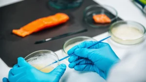 FCR, Büyüme ve Karlılık Arasındaki Doğrudan Bağ | Unifeed