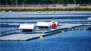 Üretimde Belirsizliği Azaltmak- Öngörülebilir Üretim İçin Yem Performansını Ölçülebilir Hale Getirmek