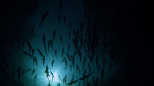 Verimli Üretimin Temeli Doğru Planlama